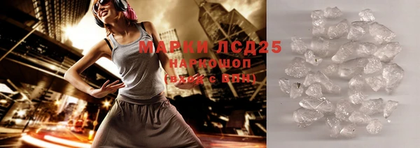 стаф Бородино