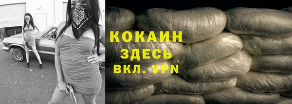 стаф Бородино