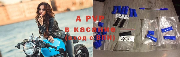 стаф Бородино