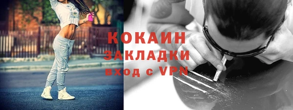 стаф Бородино