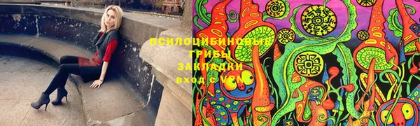 амф Бронницы
