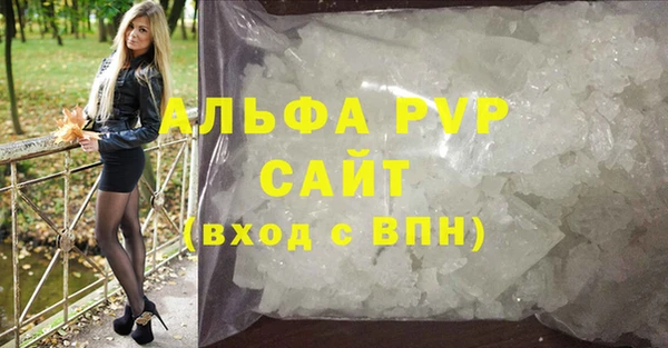 стаф Бородино