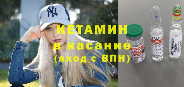 стаф Бородино