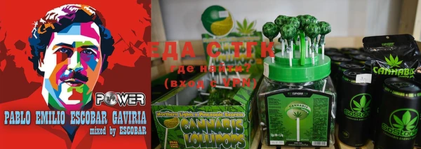 стаф Бородино