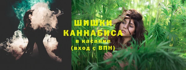 стаф Бородино