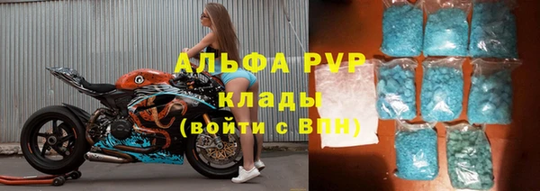 стаф Бородино